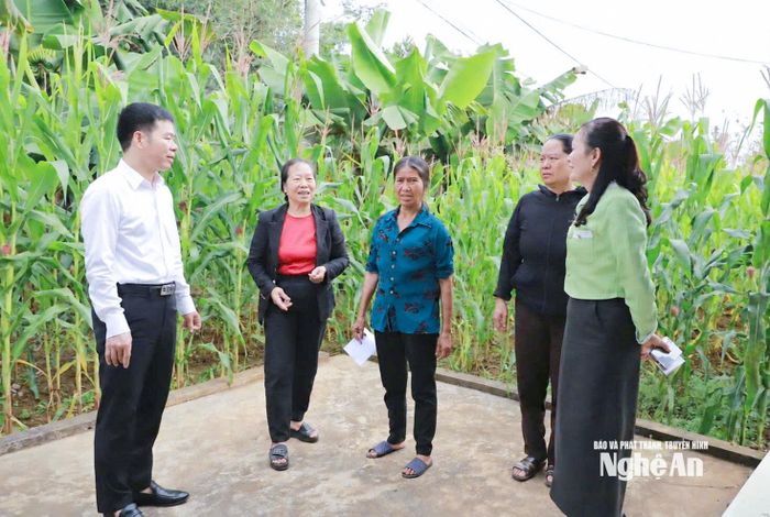 Cán bộ phường Tây Hiếu gặp gỡ, trao đổi với người dân về chủ trương sắp xếp khối, xóm. Ảnh: CSCC