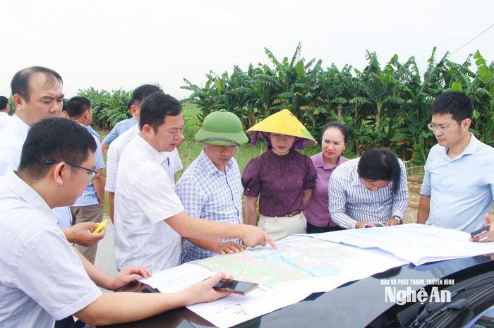 Cán bộ xã Quỳnh Anh khảo sát thực địa các vùng quy hoạch phát triển trên địa bàn. Ảnh: Mai Hoa