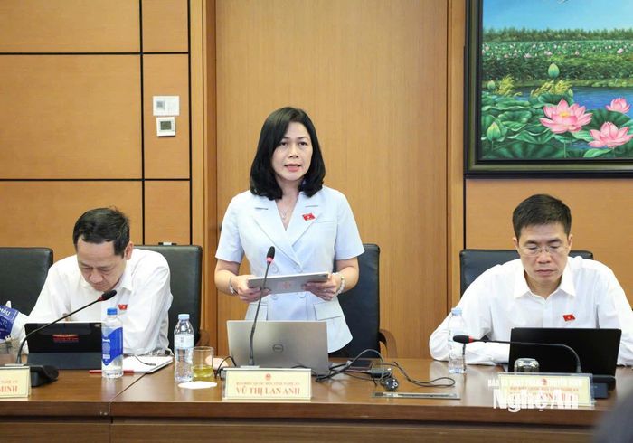 Đại biểu Vũ Thị Lan Anh - Ủy viên chuyên trách Ủy ban Công tác đại biểu của Quốc hội tham gia thảo luận tổ. Ảnh: Khánh Duy