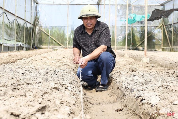 “Nhờ tuân thủ quy trình trồng và chăm sóc, hoa cúc của gia đình luôn được khách hàng, thương lái tin tưởng thu mua. Vụ Tết năm 2025, vườn hoa mang về doanh thu hơn 50 triệu đồng; sau khi trừ chi phí, gia đình lãi gần 40 triệu đồng. So với một số cây trồng khác, hoa cúc cho hiệu quả kinh tế khá tốt” - ông Thiên chia sẻ.