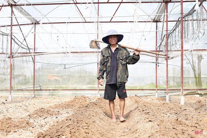 Với hơn 15 năm kinh nghiệm trồng hoa Tết, ông Bùi Công Trình bắt đầu xử lý đất từ khoảng 2 tuần nay. Sau khi thu hoạch dưa lưới, đất được xử lý bằng vôi và các chế phẩm vi sinh nhằm cải tạo, hạn chế mầm bệnh, tạo điều kiện thuận lợi cho cây hoa sinh trưởng. Theo ông, đây là thời điểm thích hợp để xuống giống hoa cúc. Nếu thời tiết thuận lợi, hoa có thể cho thu hoạch vào khoảng ngày 25-26 tháng Chạp.