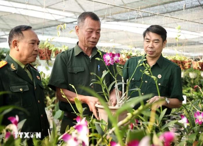 Cựu chiến binh Nguyễn Văn Lạn dẫn đồng đội tham quan mô hình nhà màng trồng hoa, cây cảnh cho thu nhập trên 600 triệu đồng/năm. (Ảnh: Danh Lam/TTXVN)