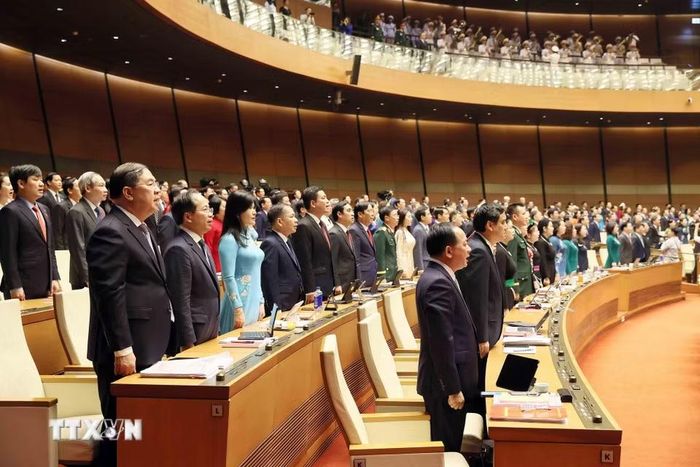 Các đại biểu thực hiện nghi lễ chào cờ. (Ảnh: An Đăng/TTXVN)