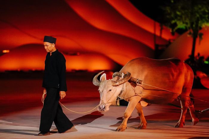 Cảnh lao động sản xuất của bà con Mường Lò. (Ảnh: CTV/Vietnam+)