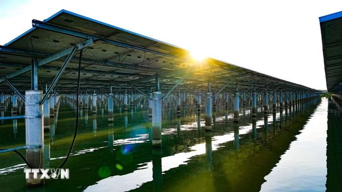 Các tấm pin năng lượng mặt trời được lắp đặt trên hệ thống khung tại khu vực bán ngập hồ Dầu Tiếng, hướng đến khai thác hiệu quả nguồn năng lượng tái tạo. (Ảnh: Minh Phú/TTXVN)