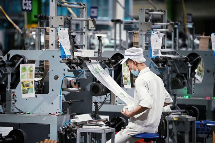 Trong 9 tháng, số doanh nghiệp gia nhập và quay lại thị trường giảm 3,2%, trong khi số doanh nghiệp hoàn tất thủ tục giải thể tăng 118,8%. (Ảnh: Vietnam+)
