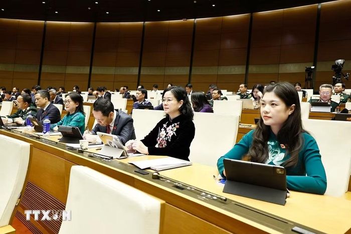 Cử tri kiến nghị Quốc hội, Chính phủ tiếp tục hoàn thiện đồng bộ chính sách, pháp luật và tập trung tháo gỡ các khó khăn, bất cập trong lĩnh vực đất đai, bồi thường, hỗ trợ, tái định cư và nhà ở. (Ảnh: TTXVN)