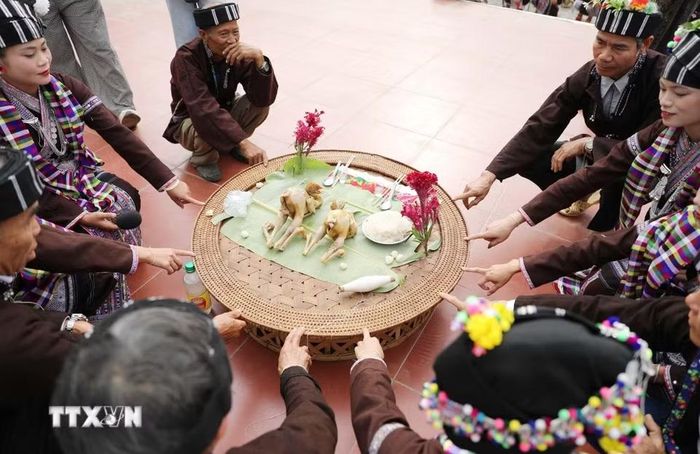Thầy cùng các chủ trâu ngồi quanh bàn lễ và cùng đặt ngón tay lên bàn lễ để cúng xin thần linh cho trâu trả hồn chủ. (Ảnh: Quý Trung/TTXVN)