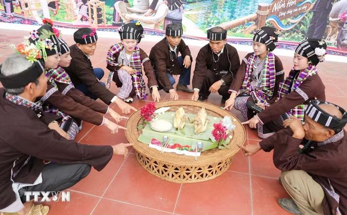 Sau lễ Thầy cúng và chủ trâu cùng đặt ngón tay lên bàn lễ và cùng nhau cầu mong cho mọi điều tốt đẹp sẽ đến cho vụ mùa mới bội thu cho người người, nhà nhà no ấm. (Ảnh: Quý Trung/TTXVN)