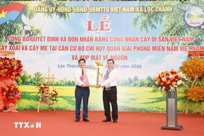 Xã Lộc Thành đón nhận bằng công nhận Cây Di sản Việt Nam. (Ảnh: K GỬIH/TTXVN)
