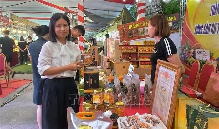 Chị Đỗ Thị Phương, Giám đốc Hợp tác xã Dược thảo Minh Đức, xã Nam Xang đã khởi nghiệp thành công với mô hình sản xuất nấm đông trùng hạ thảo.