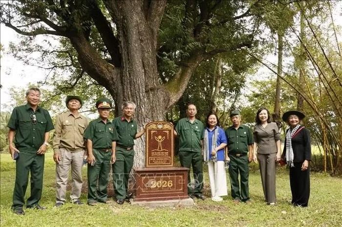 Đại biểu chụp ảnh tại Cây Me được công nhận Cây Di sản Việt Nam.