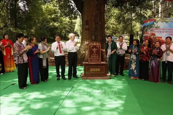 Nghi thức lễ công nhận Cây Xoài là Cây Di sản Việt Nam.