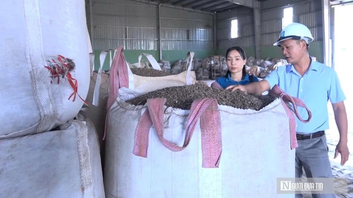 Rừng FSC là tấm vé cho các doanh nghiệp tham gia chuỗi cung ứng quốc tế.