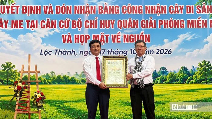 Đại diện Hội Bảo vệ Thiên nhiên và Môi trường Việt Nam trao quyết định công nhận Cây Di sản Việt Nam.