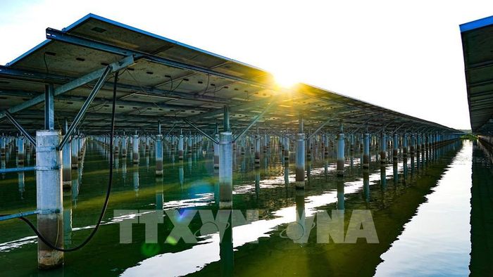 Các tấm pin năng lượng mặt trời được lắp đặt trên hệ thống khung tại khu vực bán ngập hồ Dầu Tiếng, hướng đến khai thác hiệu quả nguồn năng lượng tái tạo. Ảnh: Minh Phú - TTXVN