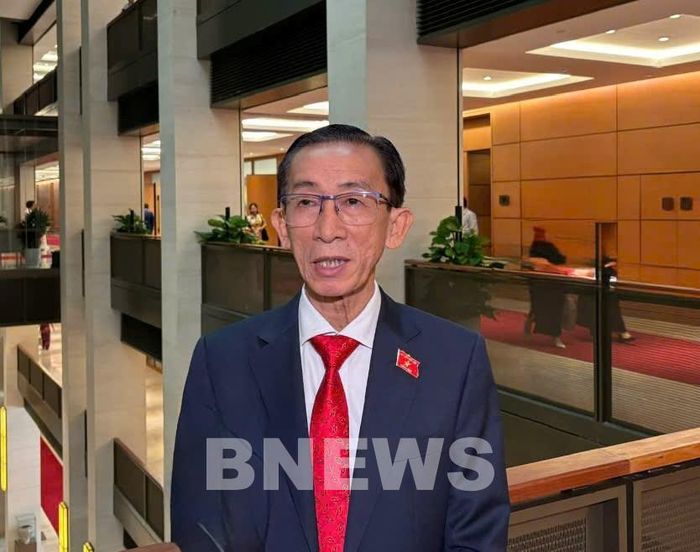 Đại biểu Trần Hoàng Ngân (Đoàn TP. Hồ Chí Minh). Ảnh: Thùy Dương/Bnews/vnanet.vn