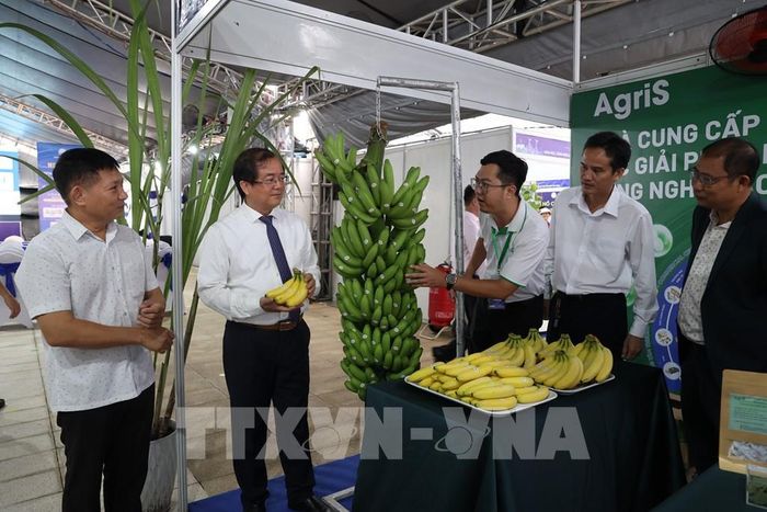 Lãnh đạo tỉnh tham quan gian hàng trưng bày tại Ngày hội Khoa học, Công nghệ, Đổi mới sáng tạo và Chuyển đổi số tỉnh Tây Ninh năm 2026. Ảnh: Thanh Tân - TTXVN