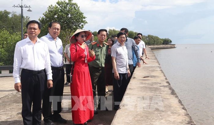 Đoàn công tác khảo sát bãi bồi tại xã Đất Mũi. Ảnh: Tuấn Phi - TTXVN