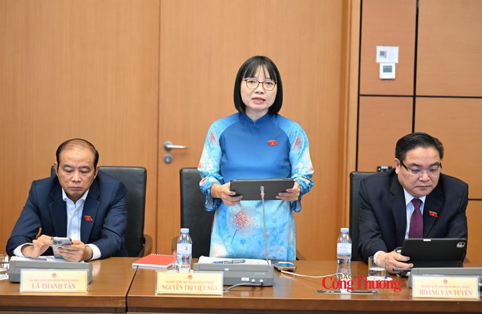 Đại biểu Nguyễn Thị Việt Nga, Phó Trưởng Đoàn ĐBQH chuyên trách thành phố Hải Phòng.