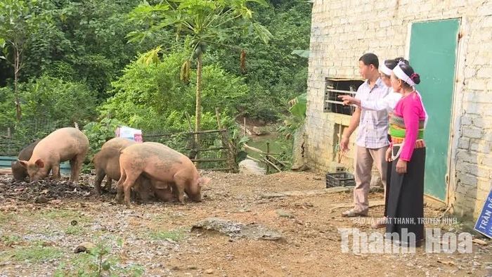 Nông sản bản địa được đưa vào chuỗi dịch vụ du lịch, gia tăng giá trị sản phẩm địa phương.