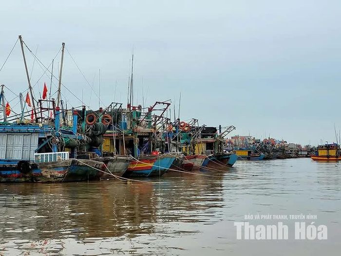 Việc tham gia bảo hiểm tai nạn giúp thuyền viên hạn chế những rủi ro tài chính, ổn định của cuộc sống.