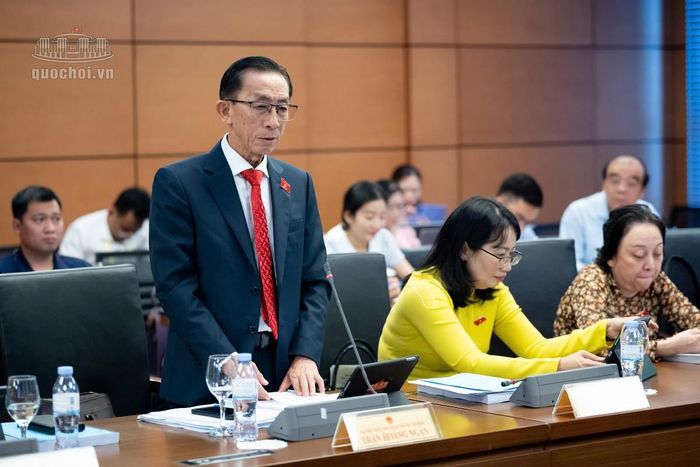 Đại biểu Trần Hoàng Ngân, ĐBQH Thành phố Hồ Chí Minh. Ảnh: Quochoi.vn