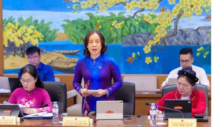  Đại biểu Nguyễn Thị Kim Anh phát biểu thảo luận. 