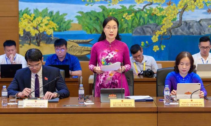  Đại biểu Đỗ Thị Việt Hà phát biểu. 