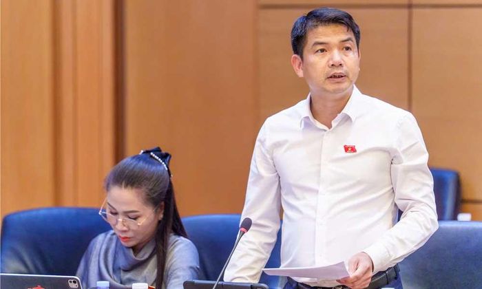  Đại biểu Vũ Văn Cường phát biểu. 