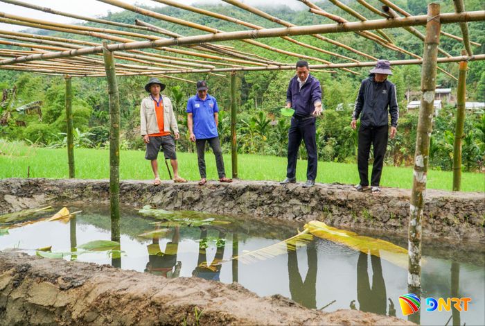Mô hình giảm nghèo từ vườn - ao - chuồng ở thôn 4, xã Trà Tập. Ảnh: HỒ QUÂN