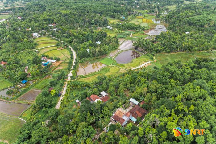 Những căn nhà cổ nép mình dưới màu xanh của làng Lộc Yên, xã Thạnh Bình. Ảnh: AN VY