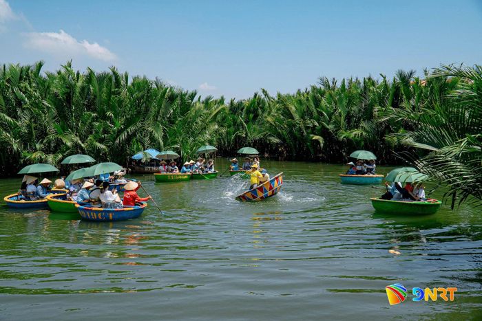 Du khách trải nghiệm tại rừng dừa Cẩm Thanh. Ảnh: QUỐC TUẤN