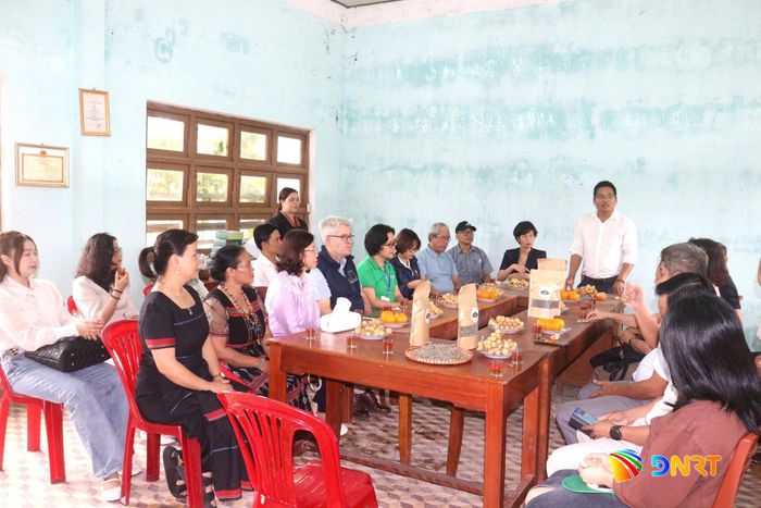 Các bên đang trao đổi giải pháp mở rộng sản xuất, nâng cao chất lượng sản phẩm và quảng bá, tiêu thụ chè dây. Ảnh: HOÀNG HIỆP