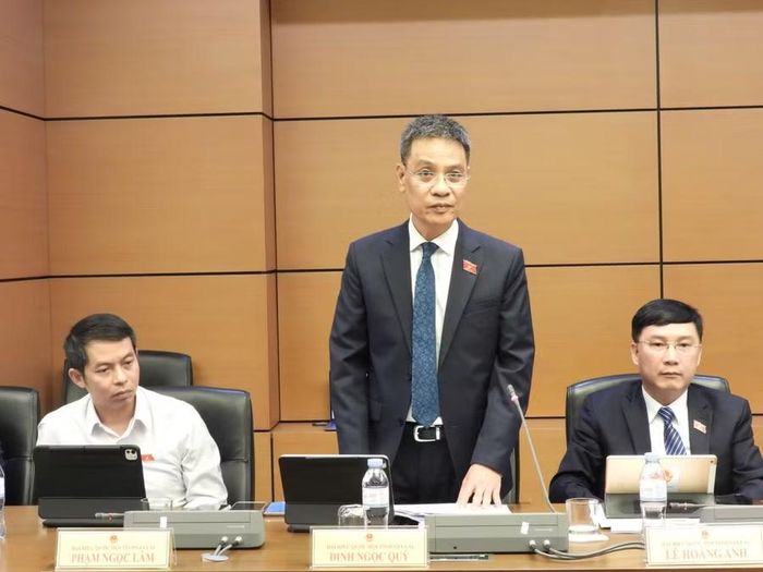 ĐB Đinh Ngọc Quý phân biệt rõ công trình bưu chính với cơ sở vật chất phục vụ hoạt động của mạng bưu chính... Ảnh: Đoàn ĐBQH tỉnh Gia Lai