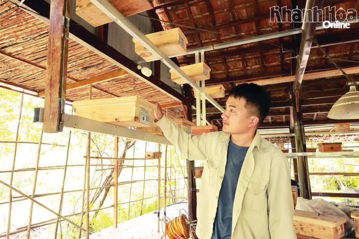 Anh Nguyễn Văn Ngọc (quản lý tại Làng Ong) kiểm tra các tổ ong dú.