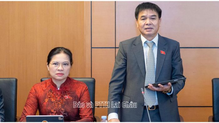 Đại biểu Nguyễn Hữu Toàn phát biểu ý kiến tại phiên thảo luận.