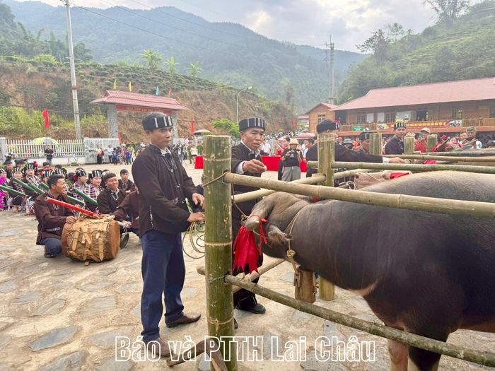 Nghi thức lễ cúng hồn trâu (Sú khon khoài) tại ngày hội.