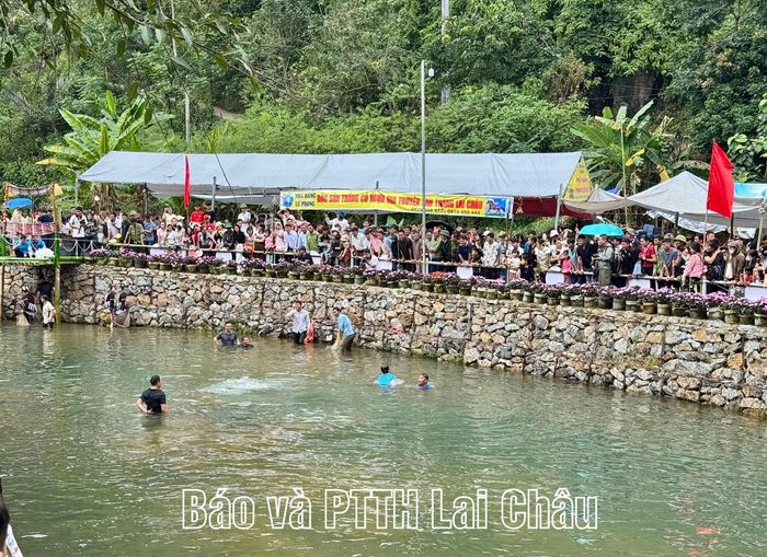 ... thi bắt cá tại ngày hội.