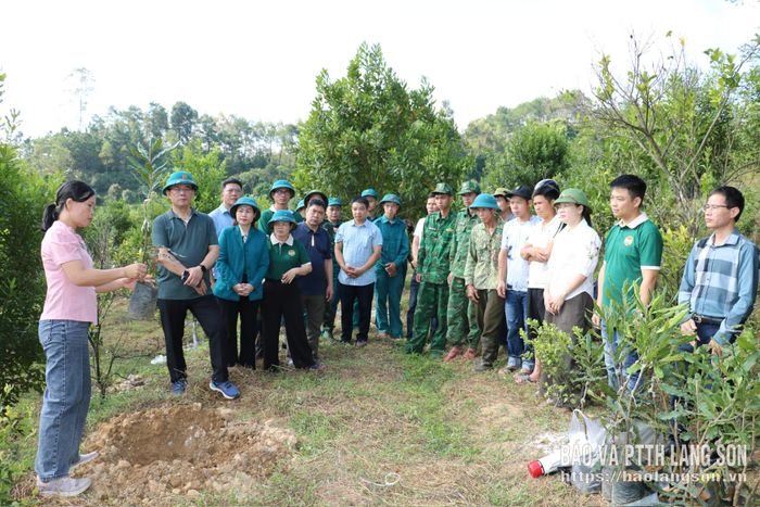 Đại diện Công ty Cổ phần Giống cây trồng Đông Bắc hướng dẫn kỹ thuật trồng cây mắc ca cho hội viên nông dân xã Cao Lộc