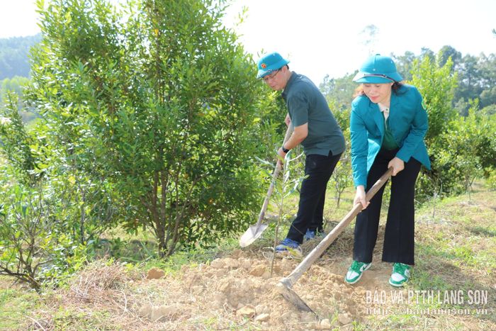 Lãnh đạo Hội Nông dân tỉnh hỗ trợ trồng cây mắc ca cho hội viên nông dân xã Cao Lộc