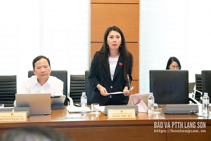 Đại biểu Đoàn Thu Hà, Phó Bí thư Tỉnh ủy, Trưởng Đoàn đại biểu Quốc hội tỉnh phát biểu thảo luận tại tổ