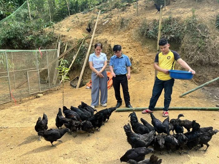 Cán bộ Trung tâm Dịch vụ tổng hợp xã Võ Lao hướng dẫn người dân kỹ thuật chăm sóc gà, phát triển mô hình nuôi gà đen thả đồi.