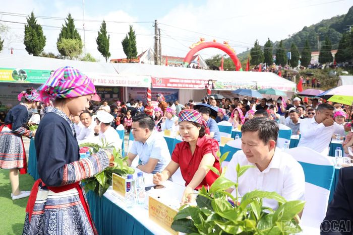 Đại biểu thưởng thức hương vị đặc trưng của trà Shan tuyết Suối Giàng.