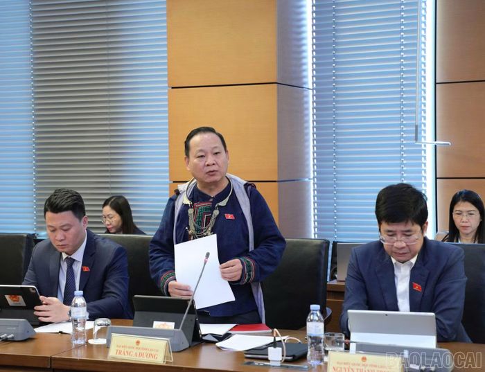 Đại biểu Tráng A Dương thảo luận tại tổ.