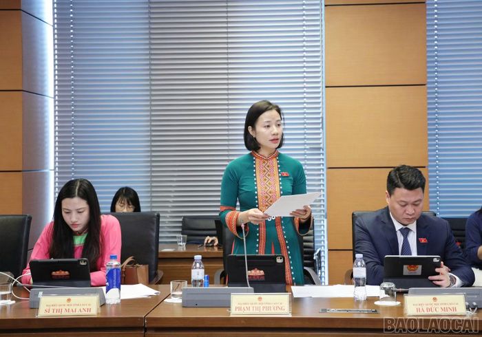Đại biểu Phạm Thị Phương tham gia thảo luận tổ.