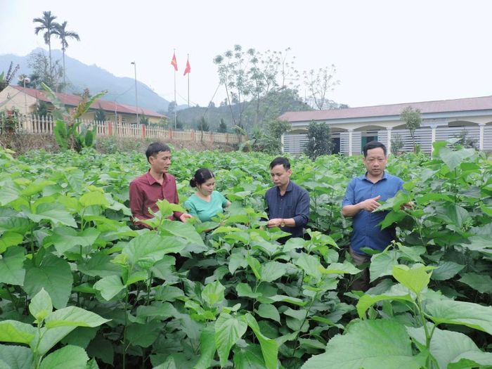 Hiệu quả sử dụng vốn cũng cần được nâng lên thông qua sự phối hợp giữa tín dụng chính sách với đào tạo nghề, chuyển giao khoa học - kỹ thuật, tư vấn việc làm và kết nối thị trường tiêu thụ sản phẩm