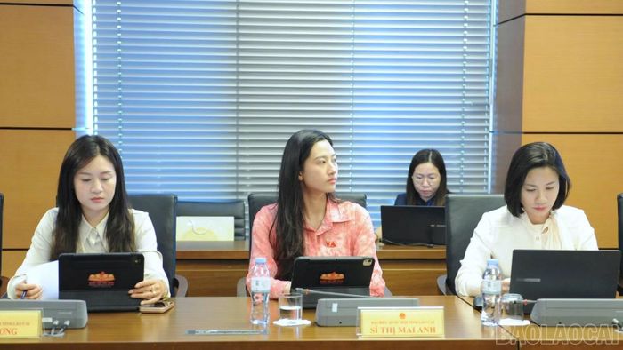 Đại biểu Quốc hội tỉnh Lào Cai tại phiên thảo luận tổ.
