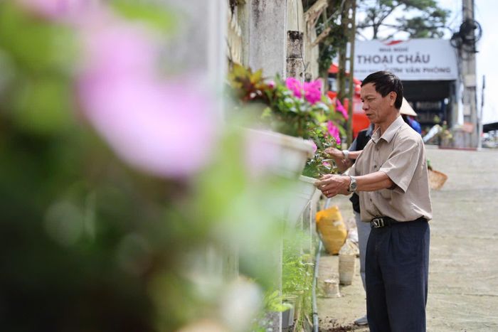 Một số tổ dân phố, người dân hưởng ứng Chiến dịch “Người người trồng hoa, nhà nhà trồng hoa, cây xanh”, tích cực trồng, trang trí hoa chào đón lễ hội hoa.