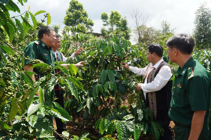 Cán bộ, chiến sĩ đồng hành hỗ trợ bà con phát triển kinh tế (ảnh tư liệu)